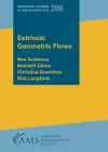 Extrinsic Geometric Flows cover