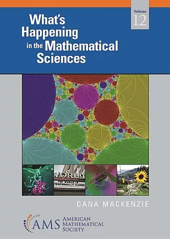 What's Happening in the Mathematical Sciences, Volume 12 cover