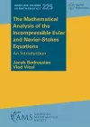 The Mathematical Analysis of the Incompressible Euler and Navier-Stokes Equations cover