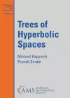 Trees of Hyperbolic Spaces cover