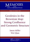 Geodesics in the Brownian Map: Strong Confluence and Geometric Structure cover