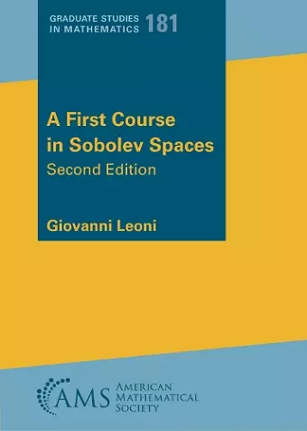 A First Course in Sobolev Spaces cover