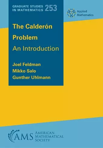The Calderon Problem cover