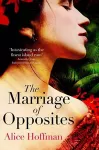 The Marriage of Opposites cover