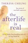The Afterlife is Real cover
