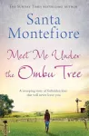 Meet Me Under the Ombu Tree cover