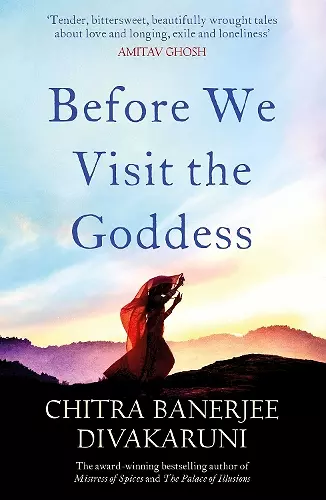Before We Visit the Goddess cover