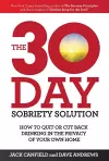The 30-Day Sobriety Solution cover