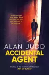 Accidental Agent cover