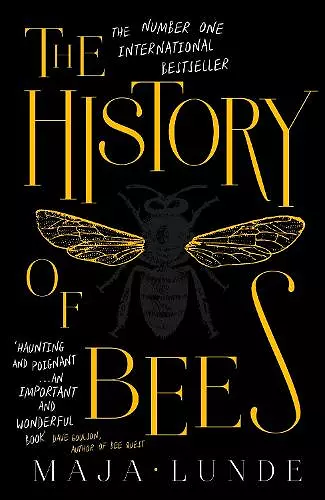 The History of Bees cover