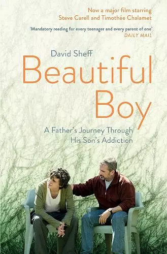 Beautiful Boy cover