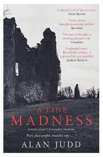 A Fine Madness cover