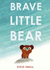 Brave Little Bear cover