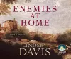 Enemies At Home cover