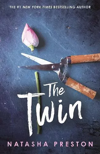 The Twin cover