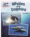 Reading Planet - Whales and Dolphins - White: Galaxy cover