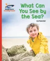 Reading Planet - What Can You See by the Sea? - Red B: Galaxy cover