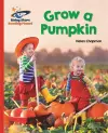 Reading Planet - Grow a Pumpkin - Red B: Galaxy cover