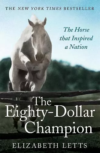 The Eighty Dollar Champion cover