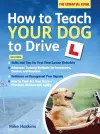 How to Teach your Dog to Drive cover
