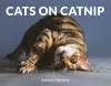 Cats on Catnip cover