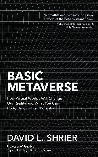 Basic Metaverse cover