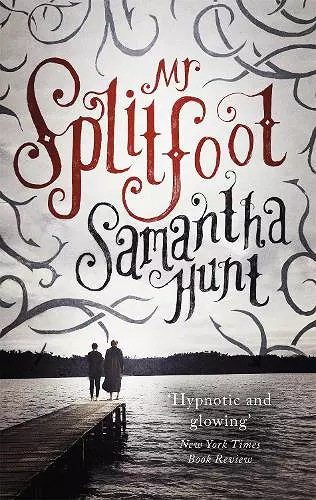 Mr Splitfoot cover