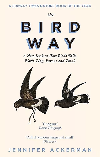 The Bird Way cover