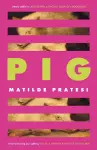Pig cover