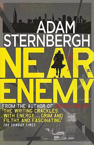 Near Enemy cover