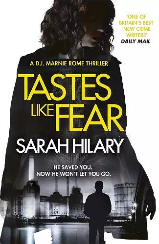 Tastes Like Fear (D.I. Marnie Rome 3) cover