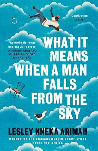 What It Means When A Man Falls From The Sky cover