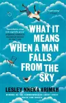 What It Means When A Man Falls From The Sky cover