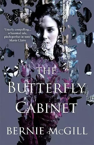 The Butterfly Cabinet cover