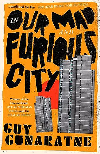 In Our Mad and Furious City cover