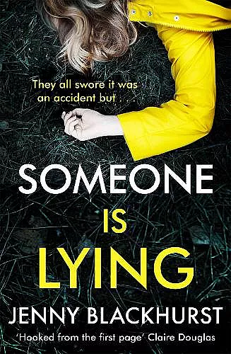 Someone Is Lying cover