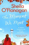 The Moment We Meet cover