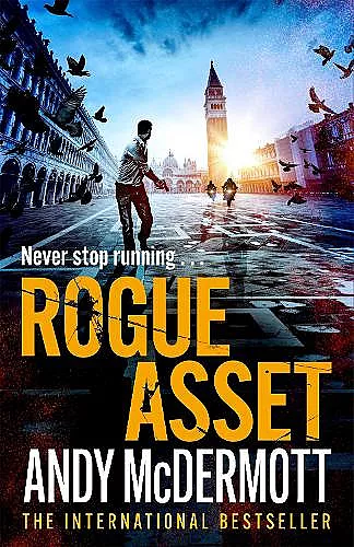 Rogue Asset cover