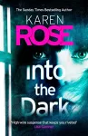 Into the Dark (The Cincinnati Series Book 5) cover
