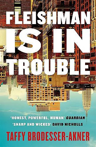 Fleishman Is in Trouble cover