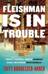 Fleishman Is in Trouble cover