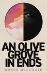 An Olive Grove in Ends cover