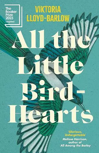 All the Little Bird-Hearts cover