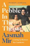 A Pebble In The Throat cover