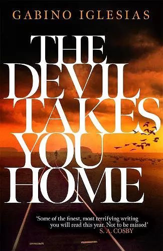 The Devil Takes You Home cover