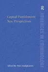 Capital Punishment: New Perspectives cover