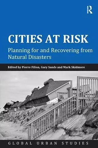 Cities at Risk cover