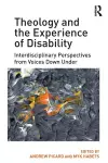 Theology and the Experience of Disability cover