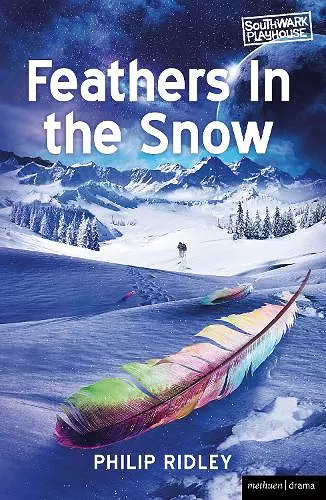 Feathers in the Snow cover