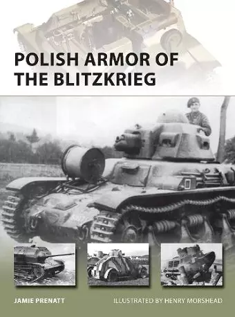 Polish Armor of the Blitzkrieg cover